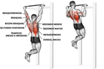 Descubre qué músculos se ejercitan al realizar dominadas y cómo