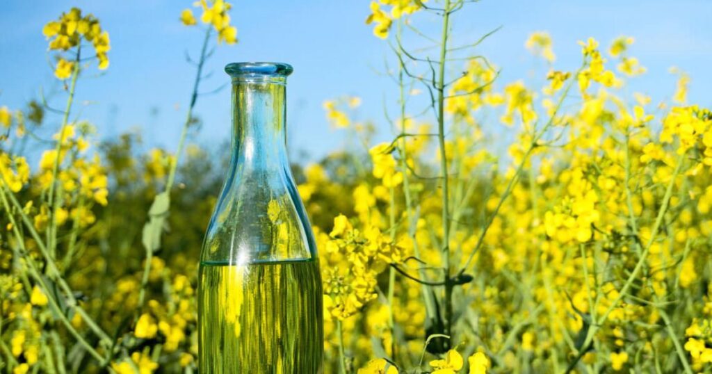 Es Malo El Aceite De Nabina Descubre Los Efectos Negativos Para La