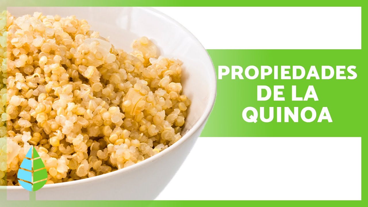 Descubre por qué la quinoa es tu aliada para una nutrición completa