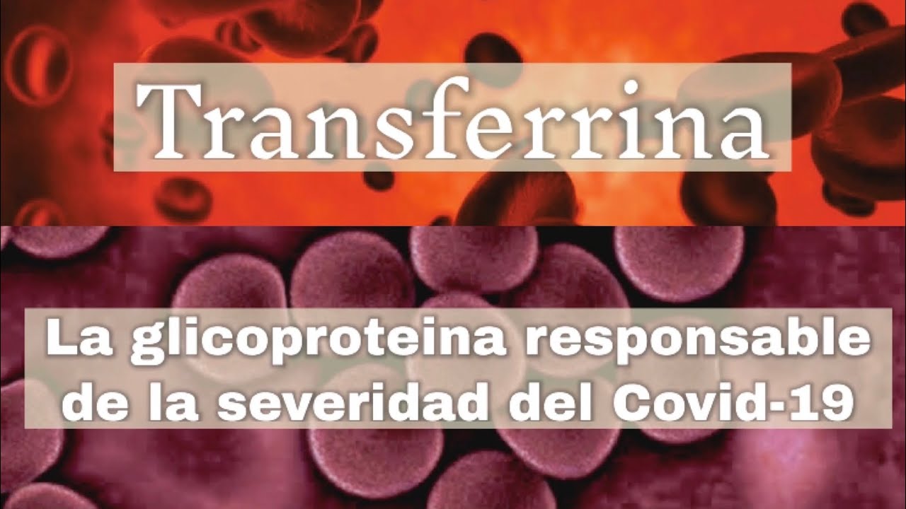 Descubre el sorprendente índice de saturación de transferrina: clave para una salud de hierro