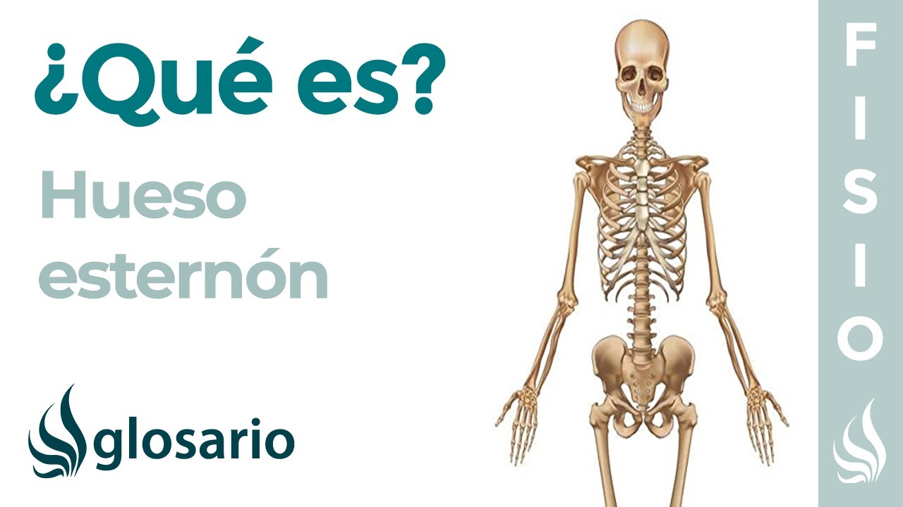 Nueva investigación revela un misterioso bulto en el esternón sin dolor