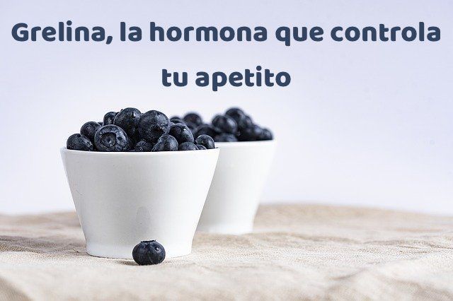 Cómo eliminar la hormona del hambre y controlar tu apetito de forma natural