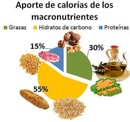 ¿Cuánta grasa saturada se debe consumir al día? Una guía completa sobre su consumo saludable