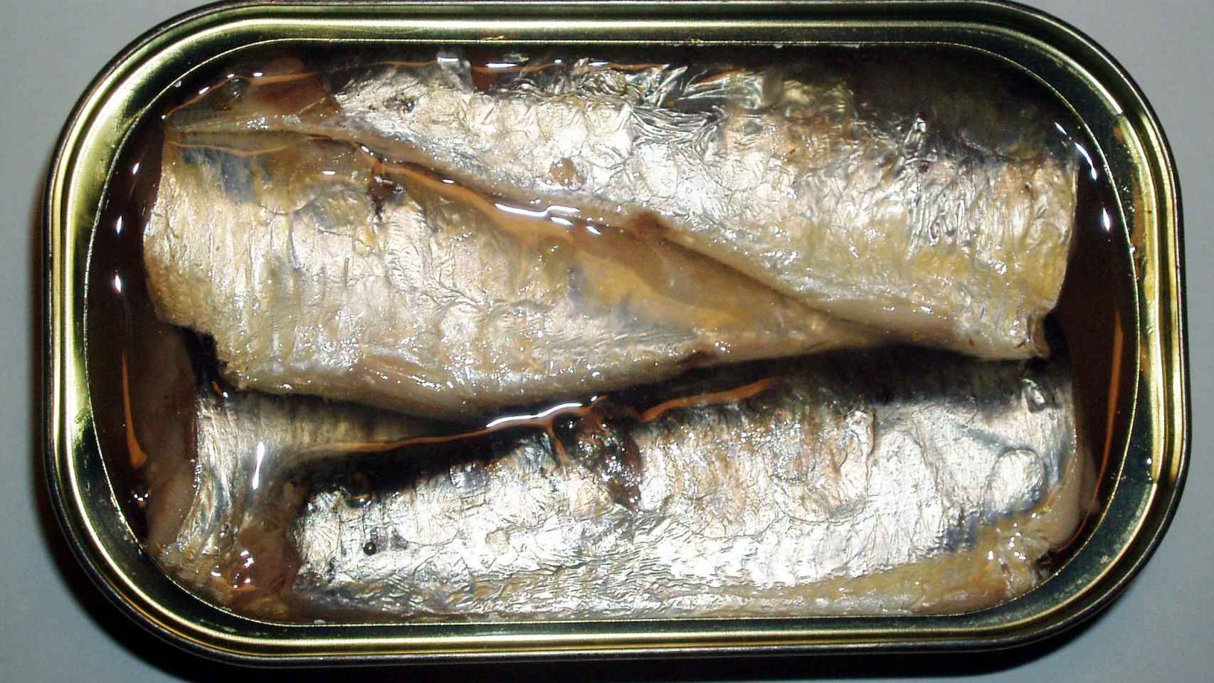 ¿Las sardinas en lata engordan? Descubre la verdad detrás de este mito alimenticio