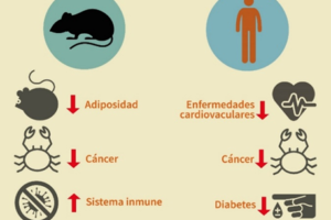 10 cosas que anulan el ayuno y debes evitar durante este proceso