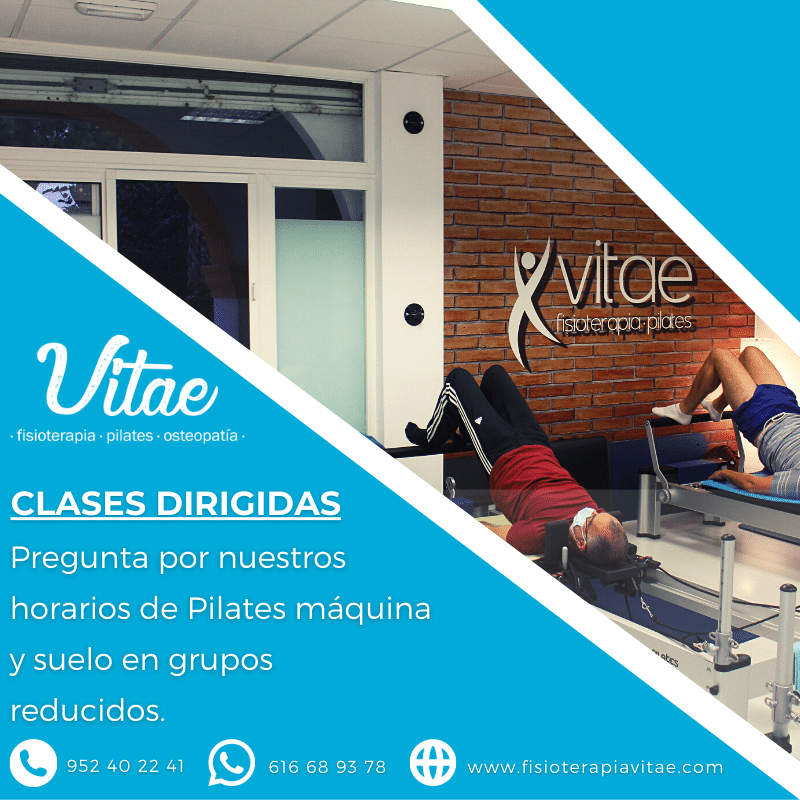 Fisioterapia y Pilates Vitae