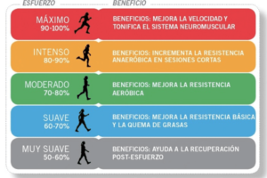 Optimiza tus pulsaciones para quemar grasa al caminar: Guía completa