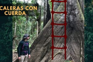 Escalera de Cuerda: La Herramienta Esencial para la Rehabilitación