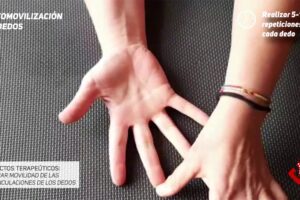 Ejercicios para la mano y dedos: Guía completa